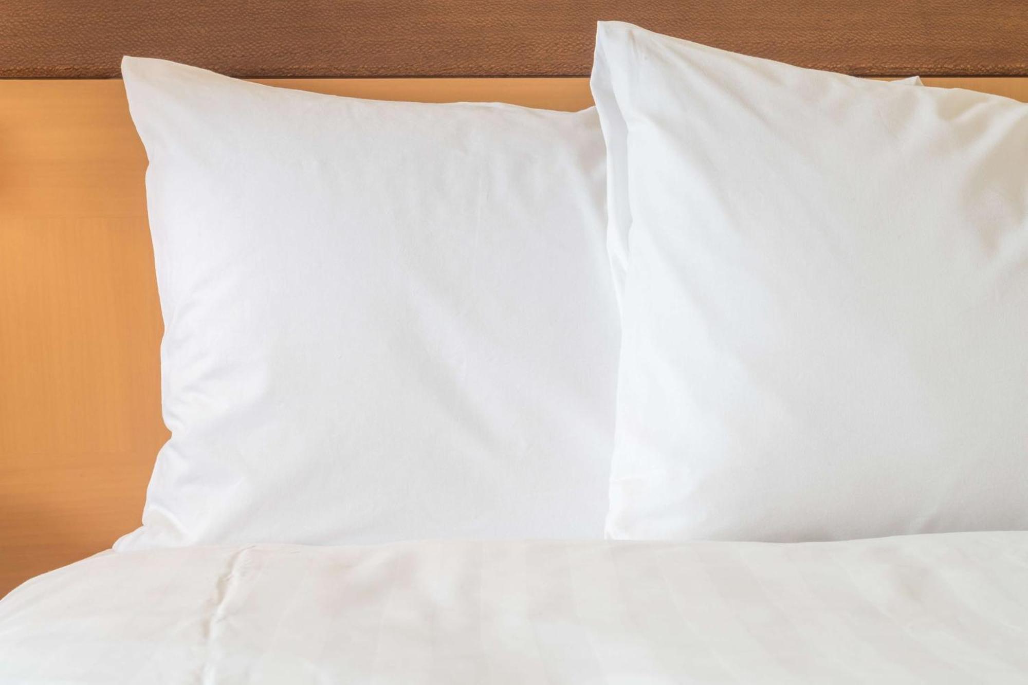 Holiday Inn Chicago O'Hare - Rosemont By Ihg エクステリア 写真